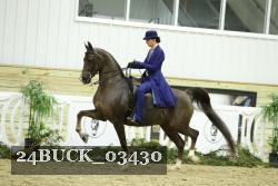 24BUCK_03430 thumbnail