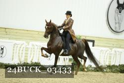 24BUCK_03433 thumbnail
