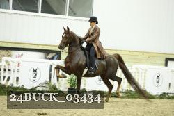 24BUCK_03434 thumbnail