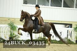 24BUCK_03435 thumbnail
