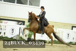 24BUCK_03439 thumbnail
