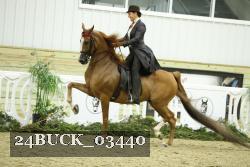 24BUCK_03440 thumbnail
