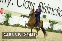 24BUCK_03441 thumbnail