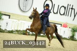 24BUCK_03442 thumbnail