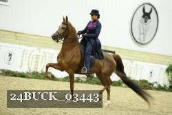 24BUCK_03443 thumbnail