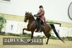 24BUCK_03445 thumbnail
