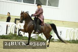 24BUCK_03446 thumbnail