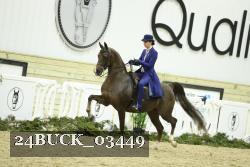 24BUCK_03449 thumbnail