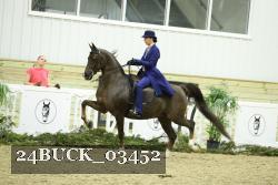 24BUCK_03452 thumbnail