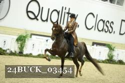 24BUCK_03454 thumbnail