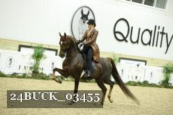 24BUCK_03455 thumbnail