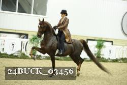 24BUCK_03456 thumbnail