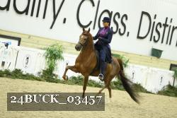24BUCK_03457 thumbnail