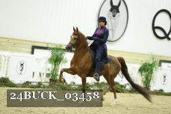 24BUCK_03458 thumbnail