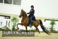 24BUCK_03459 thumbnail