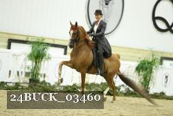 24BUCK_03460 thumbnail