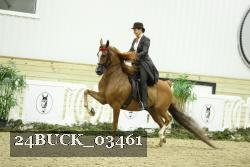 24BUCK_03461 thumbnail