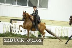 24BUCK_03462 thumbnail
