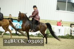 24BUCK_03463 thumbnail