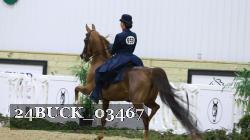 24BUCK_03467 thumbnail