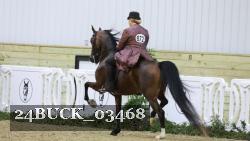 24BUCK_03468 thumbnail