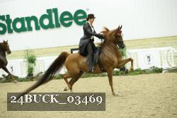 24BUCK_03469 thumbnail