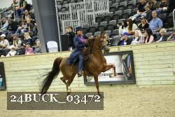 24BUCK_03472 thumbnail