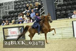 24BUCK_03473 thumbnail