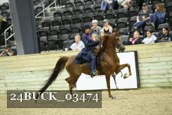 24BUCK_03474 thumbnail