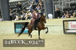 24BUCK_03477 thumbnail