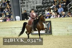 24BUCK_03478 thumbnail