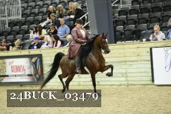 24BUCK_03479 thumbnail