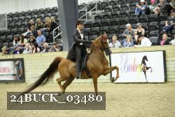 24BUCK_03480 thumbnail