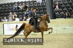 24BUCK_03481 thumbnail