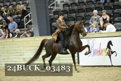 24BUCK_03483 thumbnail