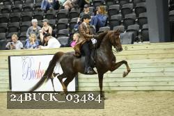 24BUCK_03484 thumbnail