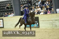 24BUCK_03485 thumbnail