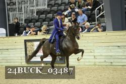 24BUCK_03487 thumbnail