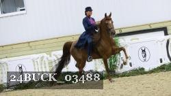 24BUCK_03488 thumbnail