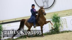 24BUCK_03493 thumbnail