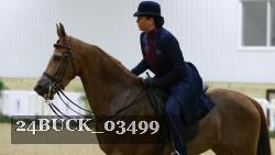 24BUCK_03499 thumbnail