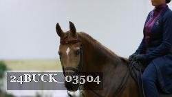 24BUCK_03504 thumbnail