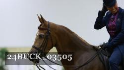 24BUCK_03505 thumbnail