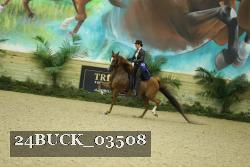 24BUCK_03508 thumbnail