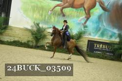 24BUCK_03509 thumbnail