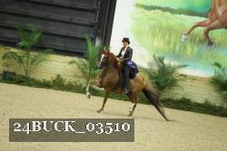 24BUCK_03510 thumbnail