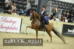 24BUCK_03511 thumbnail