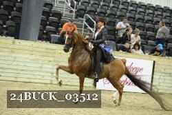 24BUCK_03512 thumbnail