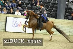 24BUCK_03513 thumbnail
