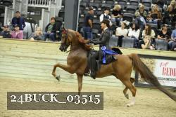 24BUCK_03515 thumbnail